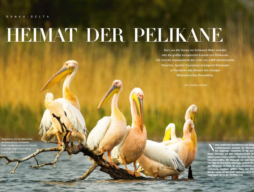 KURIER Freizeit: Donau-Delta - Heimat der Pelikane